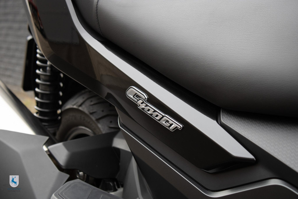 49511367-15.jpg